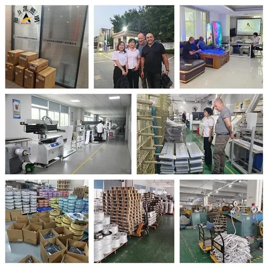 New Year Holiday Christmas Decoration Lighting Flexible SMD2835 LED Strip Light