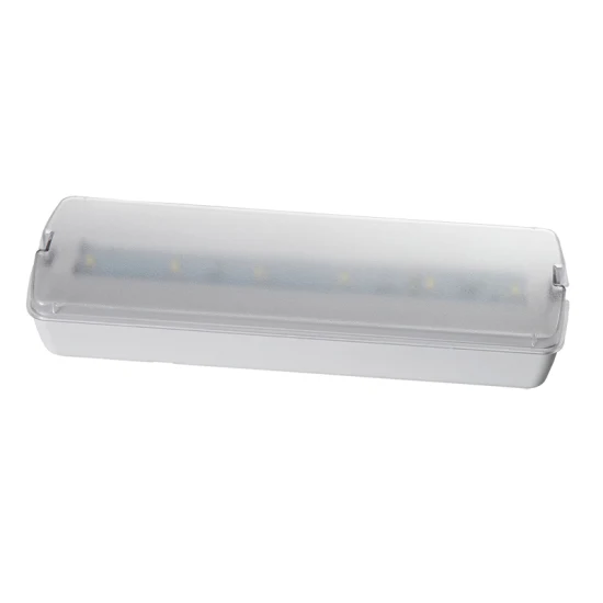 Lumière de secours LED rechargeable encastrée au plafond 3W, alimentée par batterie